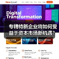 专精特新企业将如何受益于资本市场新机遇?(图1) 专精特新企业将如何受益于资本市场新机遇?(图1)