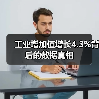 工业增加值增长4.3%背后的数据真相(图3) 工业增加值增长4.3%背后的数据真相(图3)
