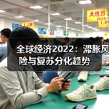 全球经济2022：滞胀风险与复苏分化趋势（图4）