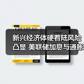 新兴经济体硬着陆风险凸显 美联储加息与通胀冲击如何应对？（图3）