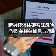 新兴经济体硬着陆风险凸显 美联储加息与通胀冲击如何应对？（图4）