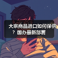 大宗商品进口如何保供？国办最新部署（图2）