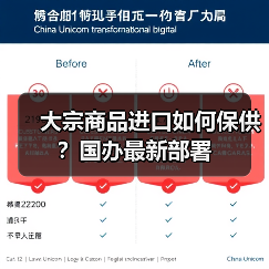 大宗商品进口如何保供？国办最新部署（图3）