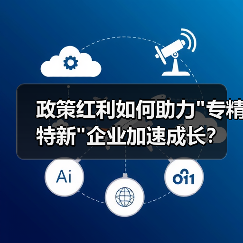 政策红利如何助力