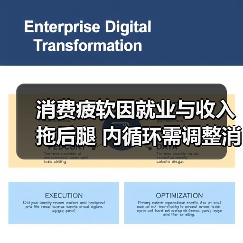 消费疲软因就业与收入拖后腿 内循环需调整消费投资关系（图2）