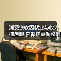 消费疲软因就业与收入拖后腿 内循环需调整消费投资关系（图1）