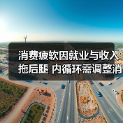 消费疲软因就业与收入拖后腿 内循环需调整消费投资关系（图4）