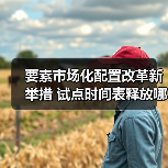 要素市场化配置改革新举措 试点时间表释放哪些信号？（图2）