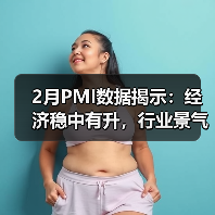 2月PMI数据揭示：经济稳中有升，行业景气分化显著？（图3）