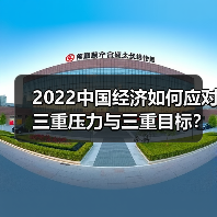2022中国经济如何应对三重压力与三重目标？（图4）