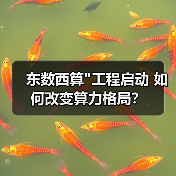 东数西算 东数西算