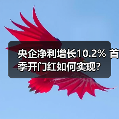 央企净利增长10.2% 首季开门红如何实现?(图3) 央企净利增长10.2% 首季开门红如何实现?(图3)