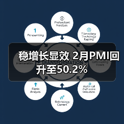 稳增长显效 2月PMI回升至50.2%（图2）